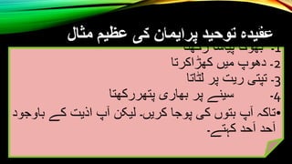 Toheed 12 Toheed | PPTX