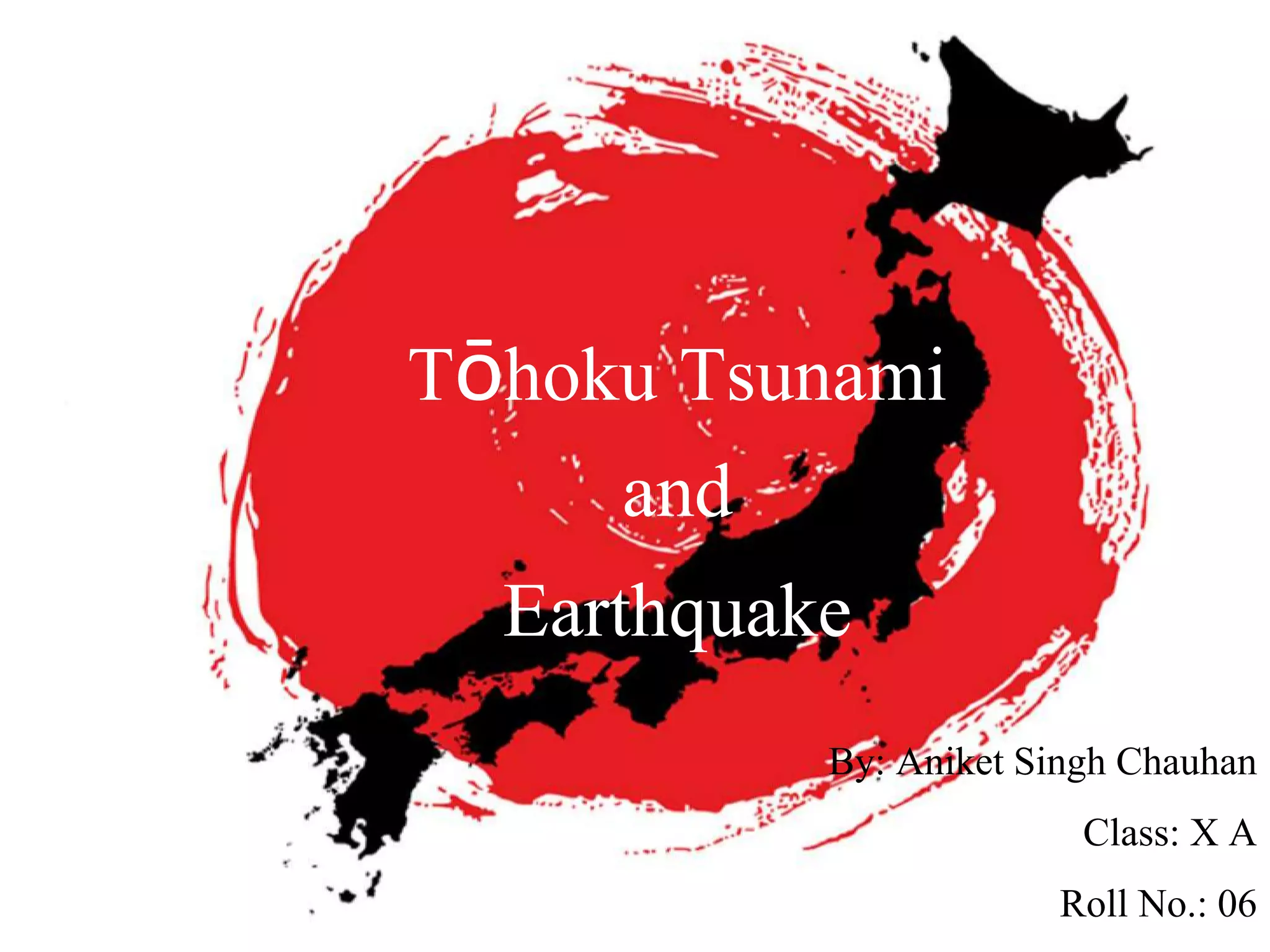 Where was the tohoku tsunami