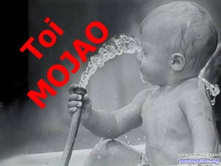 Toi MOJAO 