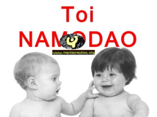 Toi
NAMODAO
 