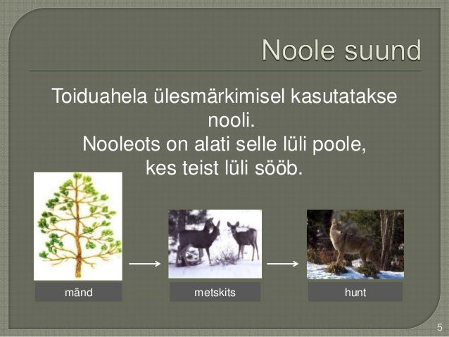 Toiduahel