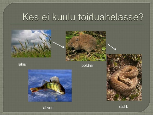 Toiduahel