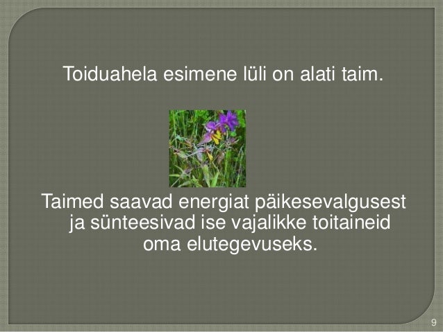 Toiduahel