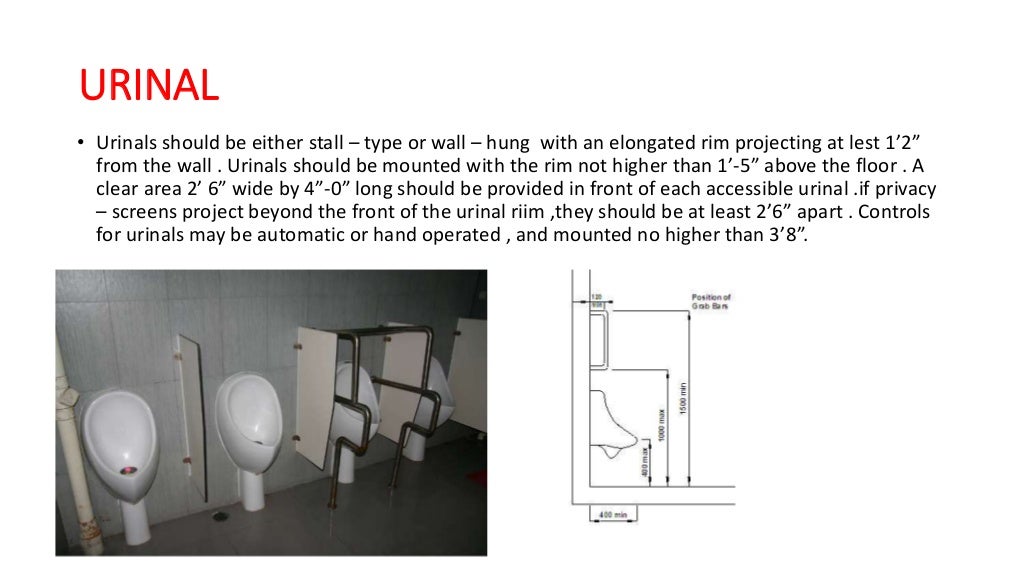 Toilet for physically challenged