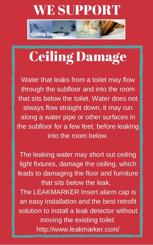 Toilet Leak Detector