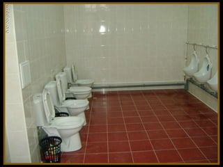 Toilets pierre daspe