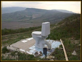 Toilets pierre daspe