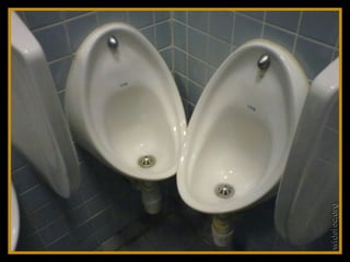 Toilets pierre daspe