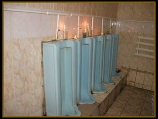 Toilets pierre daspe