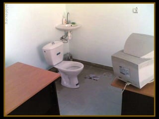 Toilets pierre daspe