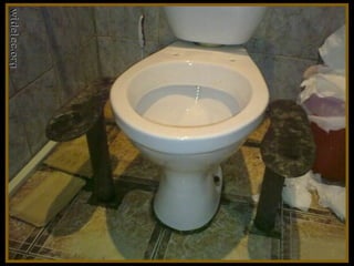 Toilets pierre daspe