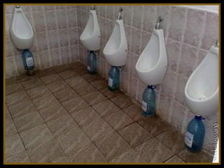 Toilets pierre daspe