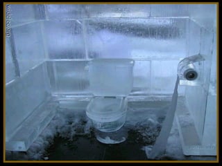 Toilets pierre daspe