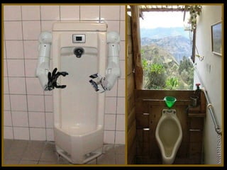 Toilets pierre daspe