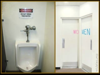 Toilets pierre daspe