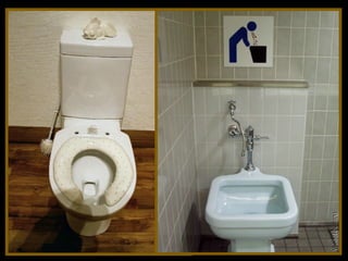 Toilets pierre daspe