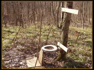 Toilets pierre daspe