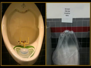 Toilets pierre daspe