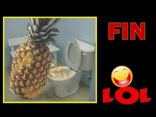 Toilets pierre daspe