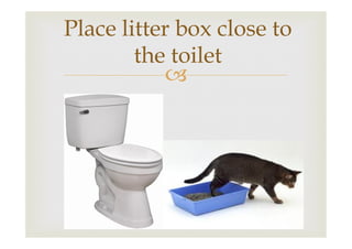 Place litter box close to
the toilet
–

 