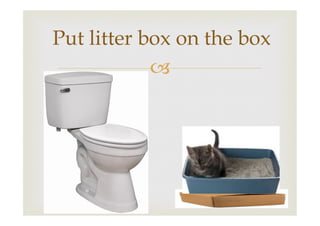 Put litter box on the box
–

 