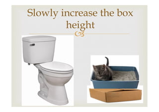 Slowly increase the box
height
–