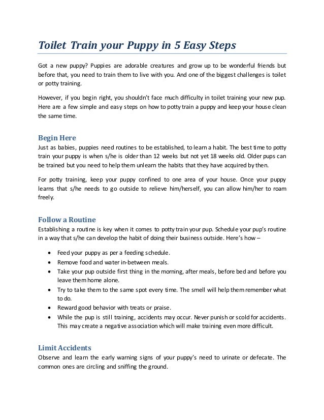 how to potty train a 12 week old puppy