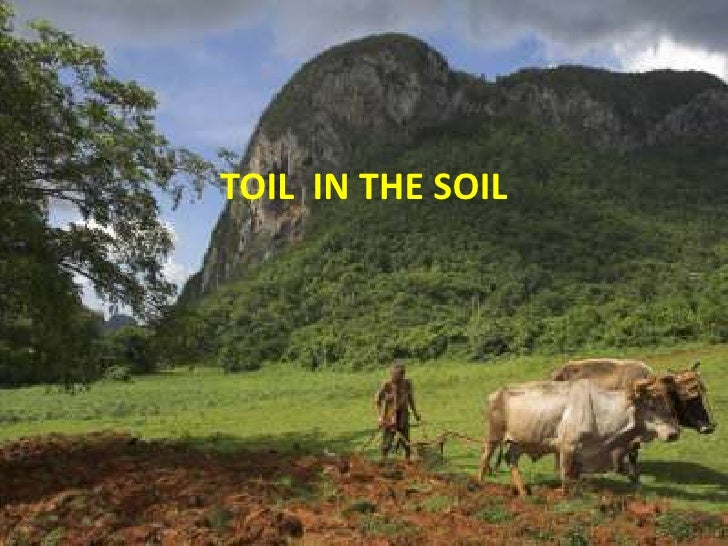 Toil In The Soil