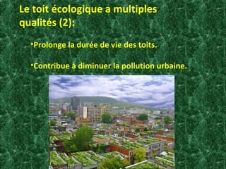 Le toit écologique a multiples 
qualités (2): 
•Prolonge la durée de vie des toits. 
•Contribue à diminuer la pollution urbaine. 
 