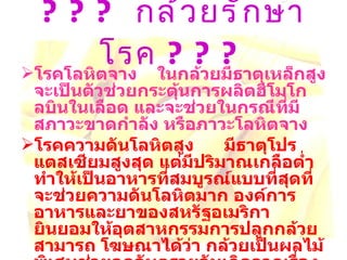 ???  กล้วยรักษาโรค  ??? โรคโลหิตจาง    ในกล้วยมีธาตุเหล็กสูงจะเป็นตัวช่วยกระตุ้นการผลิตฮีโมโกลบินในเลือด และจะช่วยในกรณีที่มีสภาวะขาดกำลัง หรือภาวะโลหิตจาง โรคความดันโลหิตสูง     มีธาตุโปรแตสเซียมสูงสุด แต่มีปริมาณเกลือต่ำ ทำให้เป็นอาหารที่สมบูรณ์แบบที่สุดที่จะช่วยความดันโลหิตมาก องค์การอาหารและยาของสหรัฐอเมริกา ยินยอมให้อุตสาหกรรมการปลูกกล้วยสามารถ โฆษณาได้ว่า กล้วยเป็นผลไม้พิเศษช่วยลดอันตรายอันเกิดจากเรื่องความดันโลหิตหรือโรคเส้นเลือดฝอยแตก  
