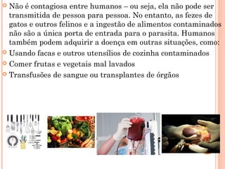  Não é contagiosa entre humanos – ou seja, ela não pode ser
transmitida de pessoa para pessoa. No entanto, as fezes de
gatos e outros felinos e a ingestão de alimentos contaminados
não são a única porta de entrada para o parasita. Humanos
também podem adquirir a doença em outras situações, como:
 Usando facas e outros utensílios de cozinha contaminados
 Comer frutas e vegetais mal lavados
 Transfusões de sangue ou transplantes de órgãos
 