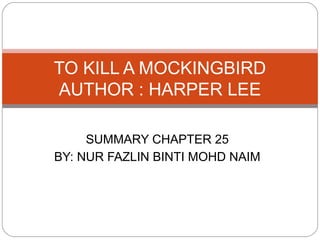 to kill a mockingbird chapter 1 summary sparknotes