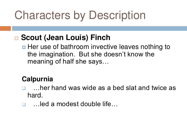 Scout finch character analysis essay