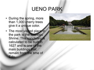 UENO PARK
●

●

During the spring, more
than 1,000 cherry trees
give it a unique color.
The most visited place in
the park is the Toshogu
Shrine. This sanctuary is
calculated to be built in
1627 and is one of the
main buildings that
remain from the time of
Edo.

 