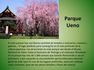 Parque
Ueno
En este parque hay una Buena cantidad de templos y santuarios, museos y
galerías… El lugar perfecto para sumergirte en lo más profundo de la
cultura japonesa. Las atracciones en este parque van desde el Museo
Nacional de Tokio, hasta el Santuario de Toshogu o el estanque Shinobazu.
En el parque hay más de 1.000 cerezos que estarán floreciendo si vas en
primavera, y por supuesto es una excelente oportunidad para observar
gente de todo tipo! Es uno de los lugares preferidos, tanto por tokiotas
como visitantes, para ver los sakura (árboles y flores del cerezo)
 