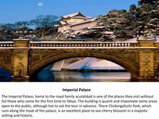                               Imperial PalaceThe Imperial Palace, home to the royal family acutalidad is one of the places they visit without fail those who come for the first time to Tokyo. The building is quaint and imponeyte some areas open to the public, although hat to ask the tour in advance. There Chidorigafuchi Park, which runs along the moat of the palace, is an excellent place to see cherry blossom in a majestic setting and historic.