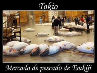 Tokio
Mercado de pescado de Tsukiji
 