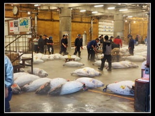 Tokio: Mercado  Tsukiji 