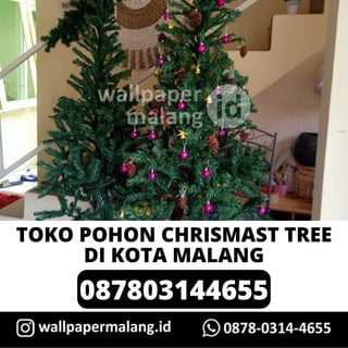 087803144655
TOKO POHON CHRISMAST TREE
DI KOTA MALANG
 