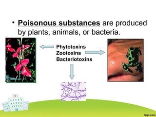 • Poisonous substances are produced
by plants, animals, or bacteria.
Phytotoxins
Zootoxins
Bacteriotoxins
 