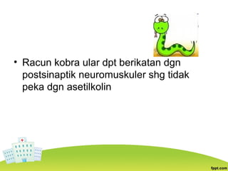 • Racun kobra ular dpt berikatan dgn
postsinaptik neuromuskuler shg tidak
peka dgn asetilkolin
 