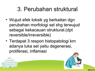 3. Perubahan struktural
• Wujud efek toksik yg berkaitan dgn
perubahan morfologi sel shg terwujud
sebagai kekacauan struktural.(dpt
reversible/irreversible)
• Terdapat 3 respon histopatologi krn
adanya luka sel yaitu degenerasi,
proliferasi, inflamasi
 