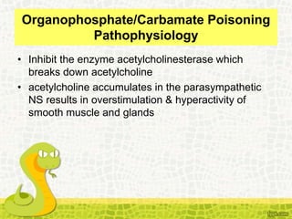 Organophosphate/Carbamate Poisoning
Pathophysiology
• Inhibit the enzyme acetylcholinesterase which
breaks down acetylcholine
• acetylcholine accumulates in the parasympathetic
NS results in overstimulation & hyperactivity of
smooth muscle and glands
 