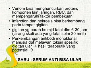 • Venom bisa menghancurkan protein,
komponen lain jaringan, RBC, dan
mempengaruhi faktor pembekuan
• infarction dan nekrosis bisa berkembang
pada tempat gigitan
• gigitan yg parah bs mjd fatal dlm 6-30 jam
(jarang skali ada yang fatal sblm 30 mnit)
• Perkembangan antibodi monoklonal
manusia dpt melawan toksin spesifik
gigitan ular  hasil terapeutik yang
potensial 
SABU : SERUM ANTI BISA ULAR
 