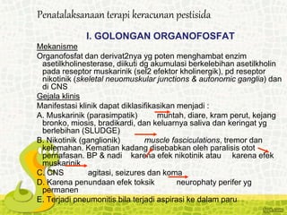 I. GOLONGAN ORGANOFOSFAT
Mekanisme
Organofosfat dan derivat2nya yg poten menghambat enzim
asetilkholinesterase, diikuti dg akumulasi berkelebihan asetilkholin
pada reseptor muskarinik (sel2 efektor kholinergik), pd reseptor
nikotinik (skeletal neuomuskular junctions & autonomic ganglia) dan
di CNS
Gejala klinis
Manifestasi klinik dapat diklasifikasikan menjadi :
A. Muskarinik (parasimpatik) muntah, diare, kram perut, kejang
bronko, miosis, bradikardi, dan keluarnya saliva dan keringat yg
berlebihan (SLUDGE)
B. Nikotinik (ganglionik) muscle fasciculations, tremor dan
kelemahan. Kematian kadang disebabkan oleh paralisis otot
pernafasan. BP & nadi karena efek nikotinik atau karena efek
muskarinik
C. CNS agitasi, seizures dan koma
D. Karena penundaan efek toksik neurophaty perifer yg
permanen
E. Terjadi pneumonitis bila terjadi aspirasi ke dalam paru
Penatalaksanaan terapi keracunan pestisida
 