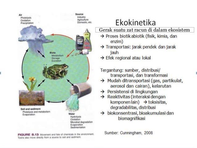 Toksikology kimia, Ilmu Lingkungan