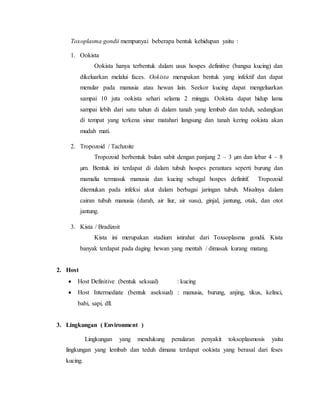 Toxoplasma gondii mempunyai beberapa bentuk kehidupan yaitu :
1. Ookista
Ookista hanya terbentuk dalam usus hospes definitive (bangsa kucing) dan
dikeluarkan melalui faces. Ookista merupakan bentuk yang infektif dan dapat
menular pada manusia atau hewan lain. Seekor kucing dapat mengeluarkan
sampai 10 juta ookista sehari selama 2 minggu. Ookista dapat hidup lama
sampai lebih dari satu tahun di dalam tanah yang lembab dan teduh, sedangkan
di tempat yang terkena sinar matahari langsung dan tanah kering ookista akan
mudah mati.
2. Tropozoid / Tachzoite
Tropozoid berbentuk bulan sabit dengan panjang 2 – 3 µm dan lebar 4 – 8
µm. Bentuk ini terdapat di dalam tubuh hospes perantara seperti burung dan
mamalia termasuk manusia dan kucing sebagal hospes definitif. Tropozoid
ditemukan pada infeksi akut dalam berbagai jaringan tubuh. Misalnya dalam
cairan tubuh manusia (darah, air liur, air susu), ginjal, jantung, otak, dan otot
jantung.
3. Kista / Bradizoit
Kista ini merupakan stadium istirahat dari Toxsoplasma gondii. Kista
banyak terdapat pada daging hewan yang mentah / dimasak kurang matang.
2. Host
 Host Definitive (bentuk seksual) : kucing
 Host Intermediate (bentuk aseksual) : manusia, burung, anjing, tikus, kelinci,
babi, sapi, dll.
3. Lingkungan ( Environment )
Lingkungan yang mendukung penularan penyakit toksoplasmosis yaitu
lingkungan yang lembab dan teduh dimana terdapat ookista yang berasal dari feses
kucing.
 