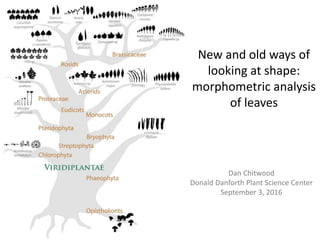 New and old ways of
looking at shape:
morphometric analysis
of leaves
Dan Chitwood
Donald Danforth Plant Science Center
September 3, 2016
 