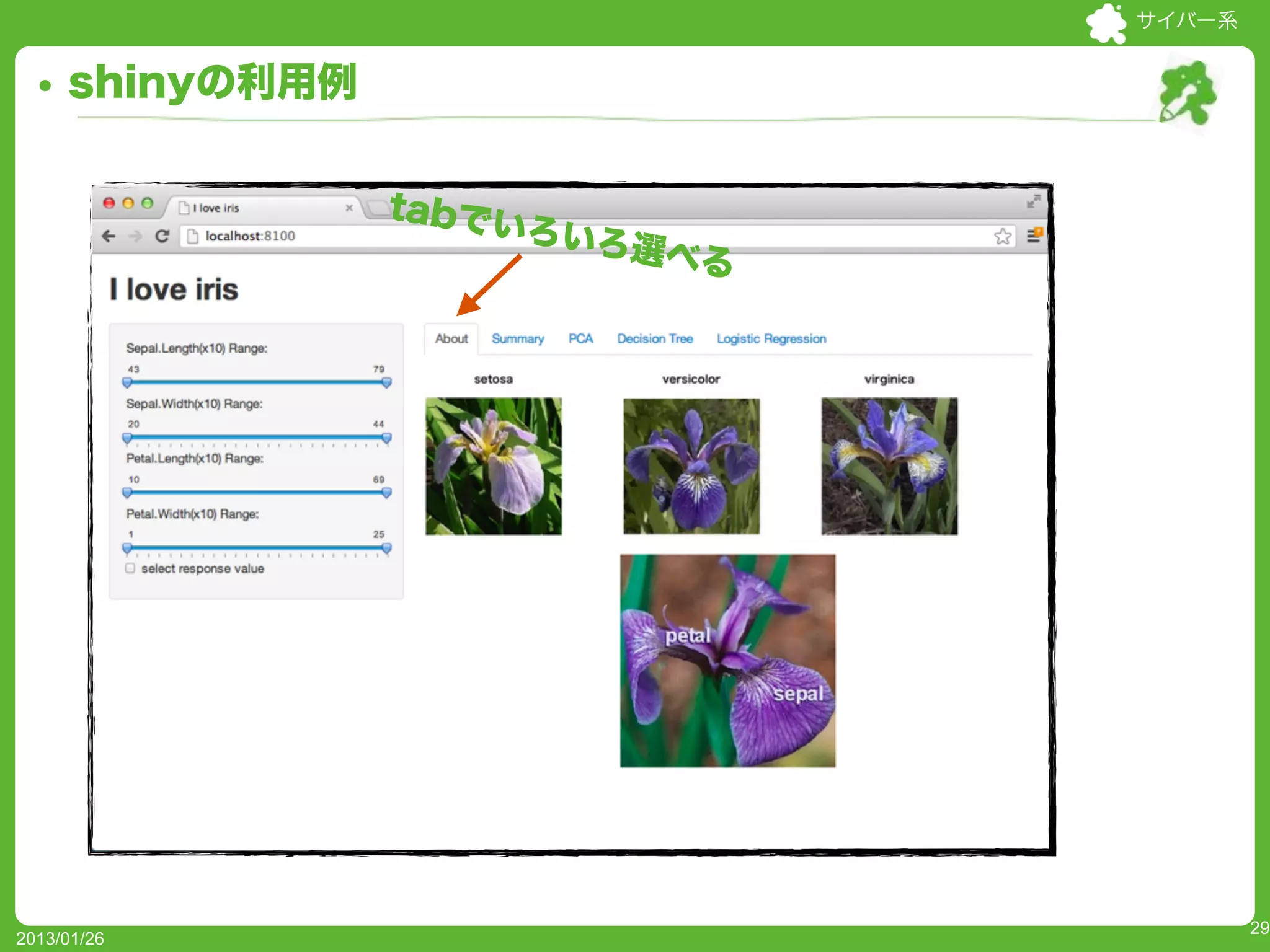 サイバー系


     shinyの利用例

                 tabで
                      いろいろ
                          選べる




                                        29
2013/01/26
 