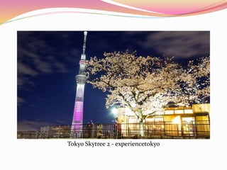 Tokyo Skytree 2 - experiencetokyo
 